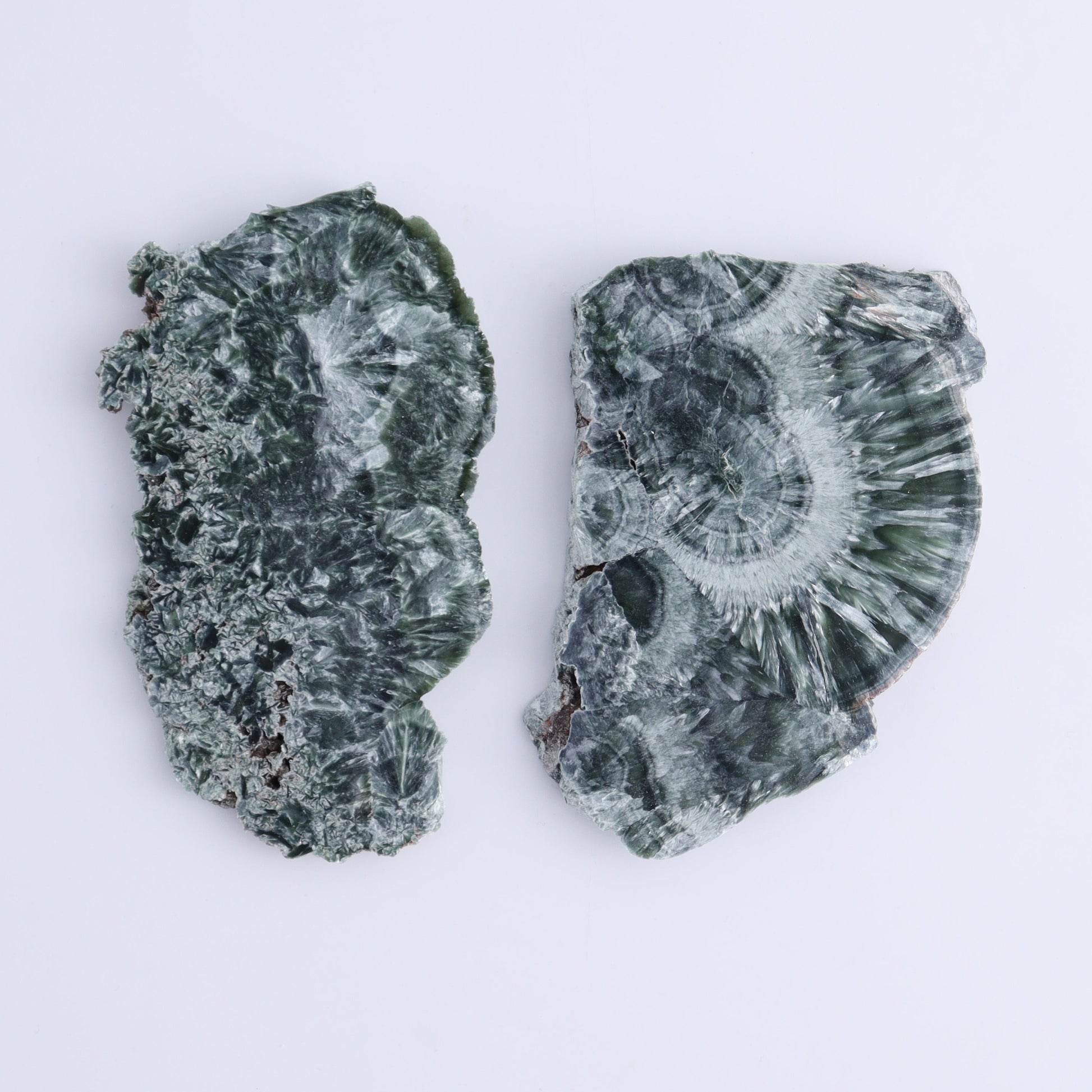 Seraphinite Slices Set of 12 - Expert Wholesale and Supplier of Wholesale Crystals & Bulk Gemstones, ["Russia","Seraphinite","Slices and Slabs"]