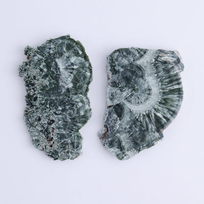 Seraphinite Slices Set of 12 - Expert Wholesale and Supplier of Wholesale Crystals & Bulk Gemstones, ["Russia","Seraphinite","Slices and Slabs"]