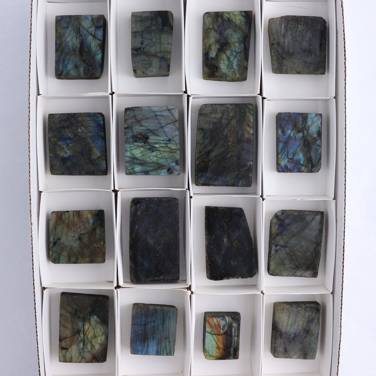 Labradorite Freeform Set of 16