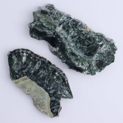Seraphinite Slices Set of 6 - Expert Wholesale and Supplier of Wholesale Crystals & Bulk Gemstones, ["Seraphinite","Slices and Slabs"]