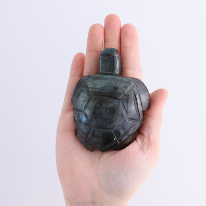 Labradorite Turtles Set of 5