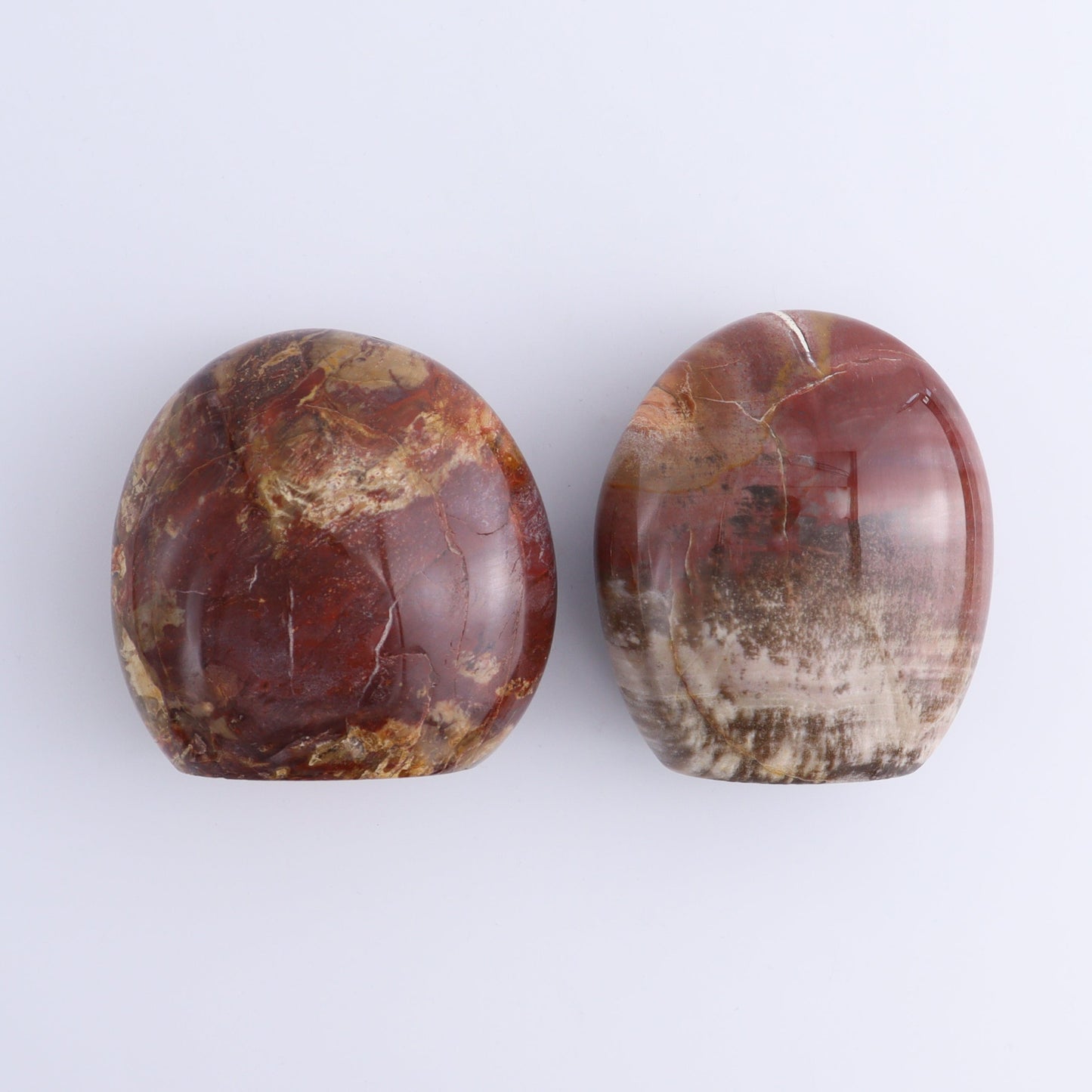 Petrified Wood Freeforms Set of 6 - Expert Wholesale and Supplier of Wholesale Crystals & Bulk Gemstones, ["Freeform","Freeforms","Madagascar","Petrified Wood"]