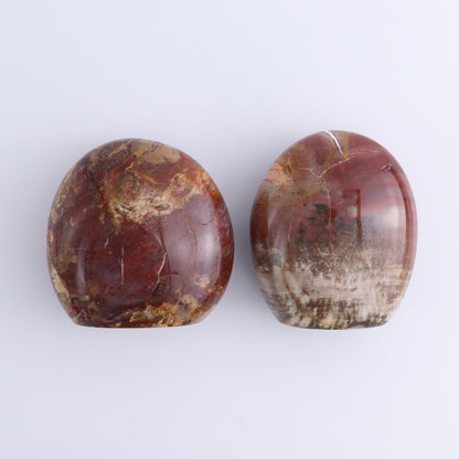 Petrified Wood Freeforms Set of 6 - Expert Wholesale and Supplier of Wholesale Crystals & Bulk Gemstones, ["Freeform","Freeforms","Madagascar","Petrified Wood"]