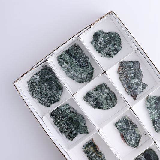 Seraphinite Slices Set of 12