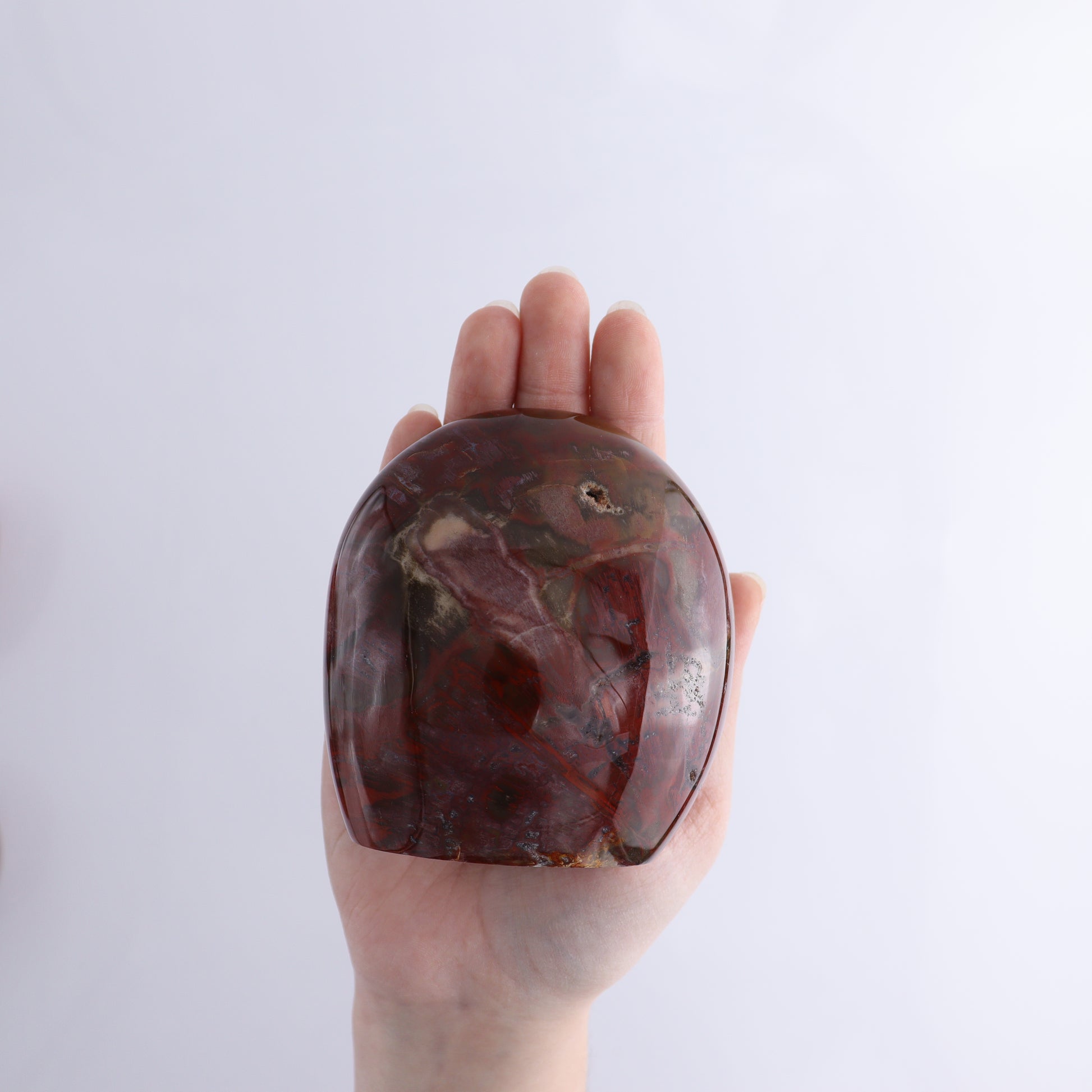 Petrified Wood Freeform Set of 3 - Expert Wholesale and Supplier of Wholesale Crystals & Bulk Gemstones, ["Freeforms","Madagascar","Petrified Wood"]