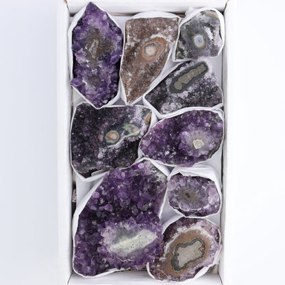 Uruguay Amethyst Clusters with "Eyes" Flat of 9 - Expert Wholesale and Supplier of Wholesale Crystals & Bulk Gemstones, ["Amethyst","Amethyst Eyes","Clusters","Uruguay"]