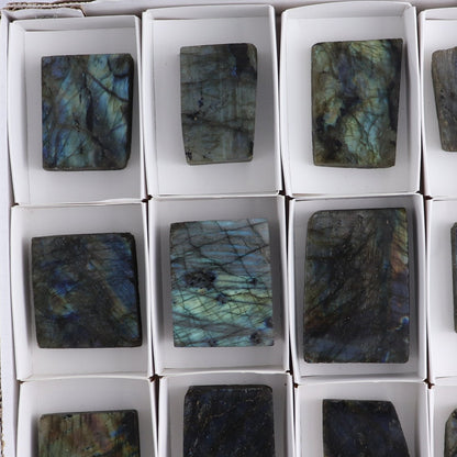 Labradorite Freeform Set of 16