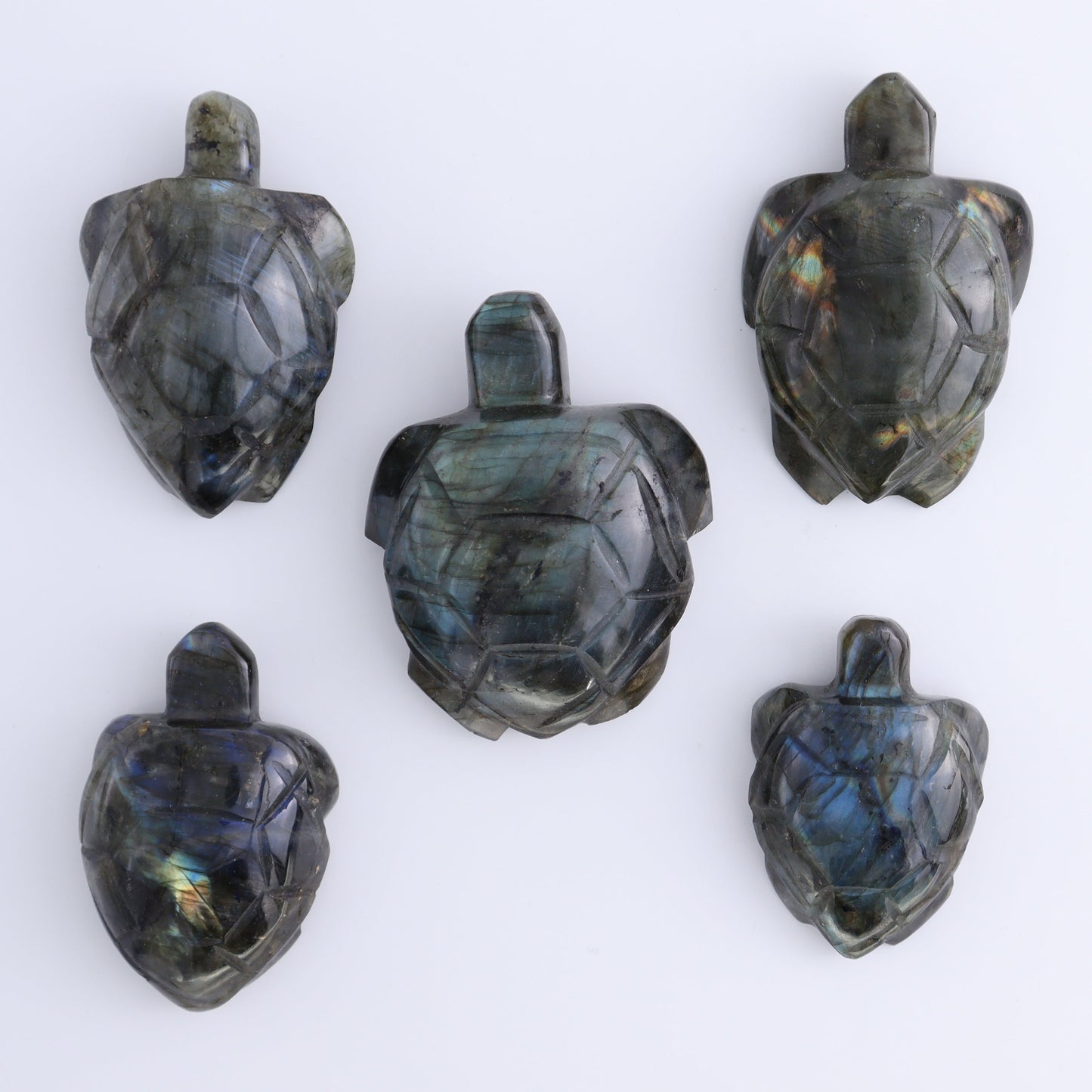 Labradorite Turtles Set of 5