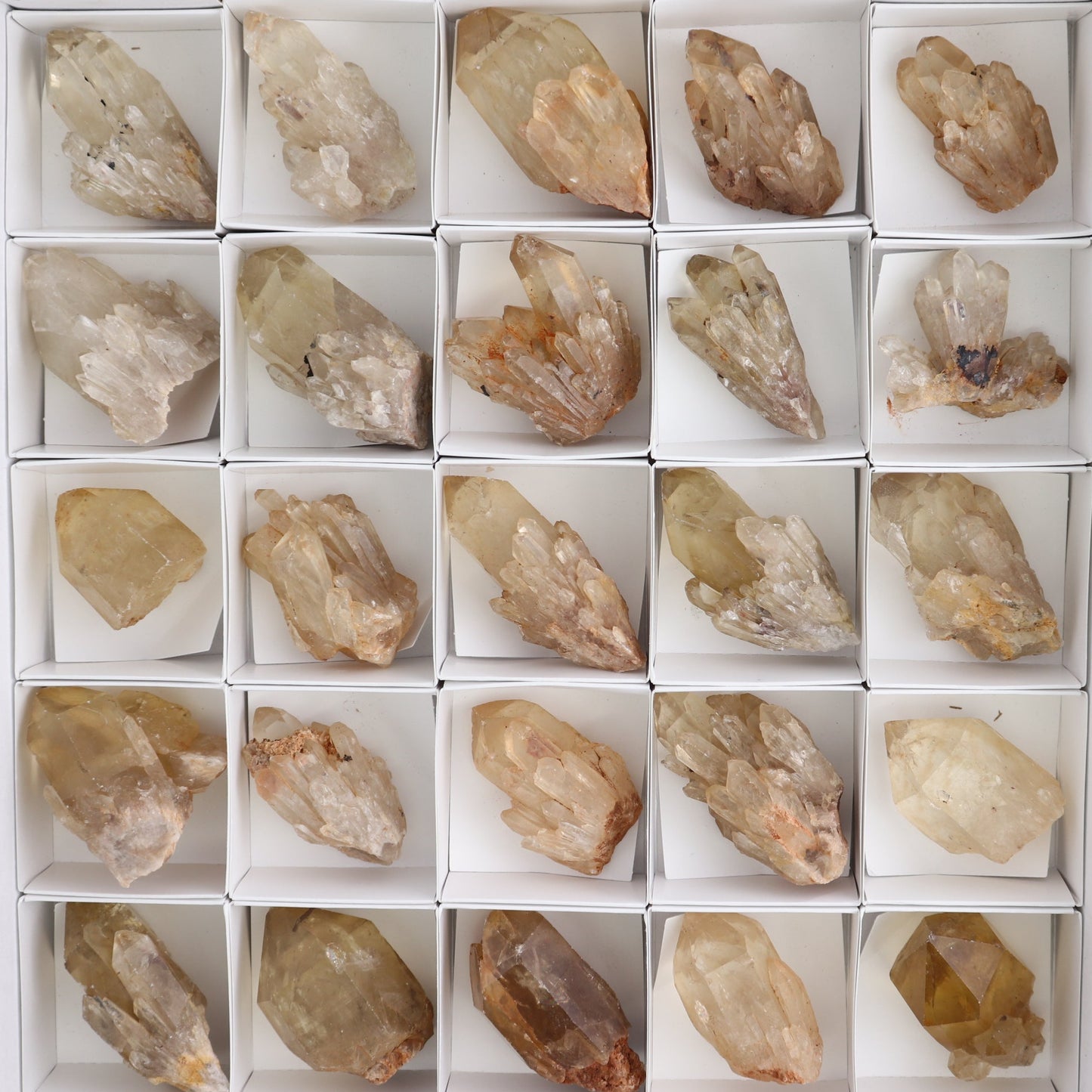 Congo Citrine Set of 35