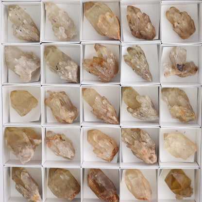 Congo Citrine Set of 35