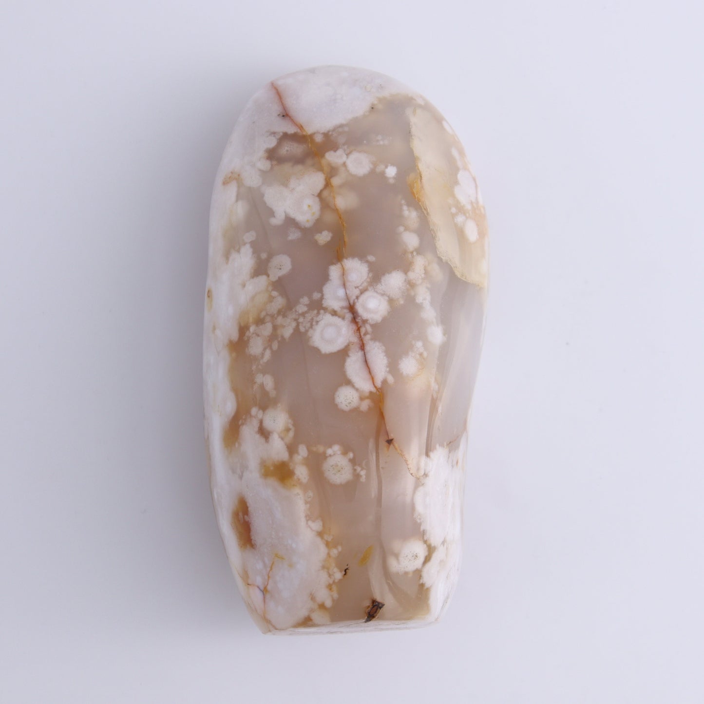 Flower Agate Freeforms Set of 6 - Expert Wholesale and Supplier of Wholesale Crystals & Bulk Gemstones, ["Flower Agate","Freeforms","Madagascar"]