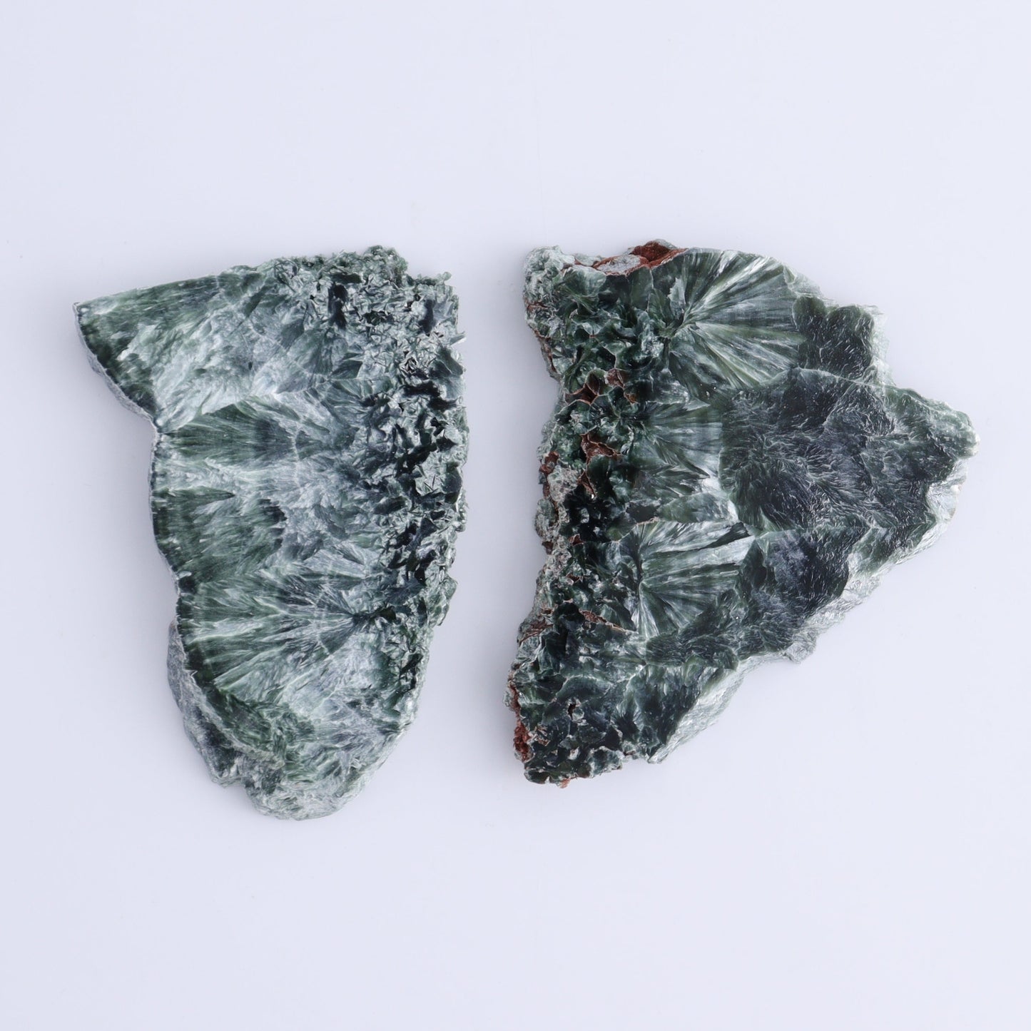 Seraphinite Slices Set of 12 - Expert Wholesale and Supplier of Wholesale Crystals & Bulk Gemstones, ["Russia","Seraphinite","Slices and Slabs"]