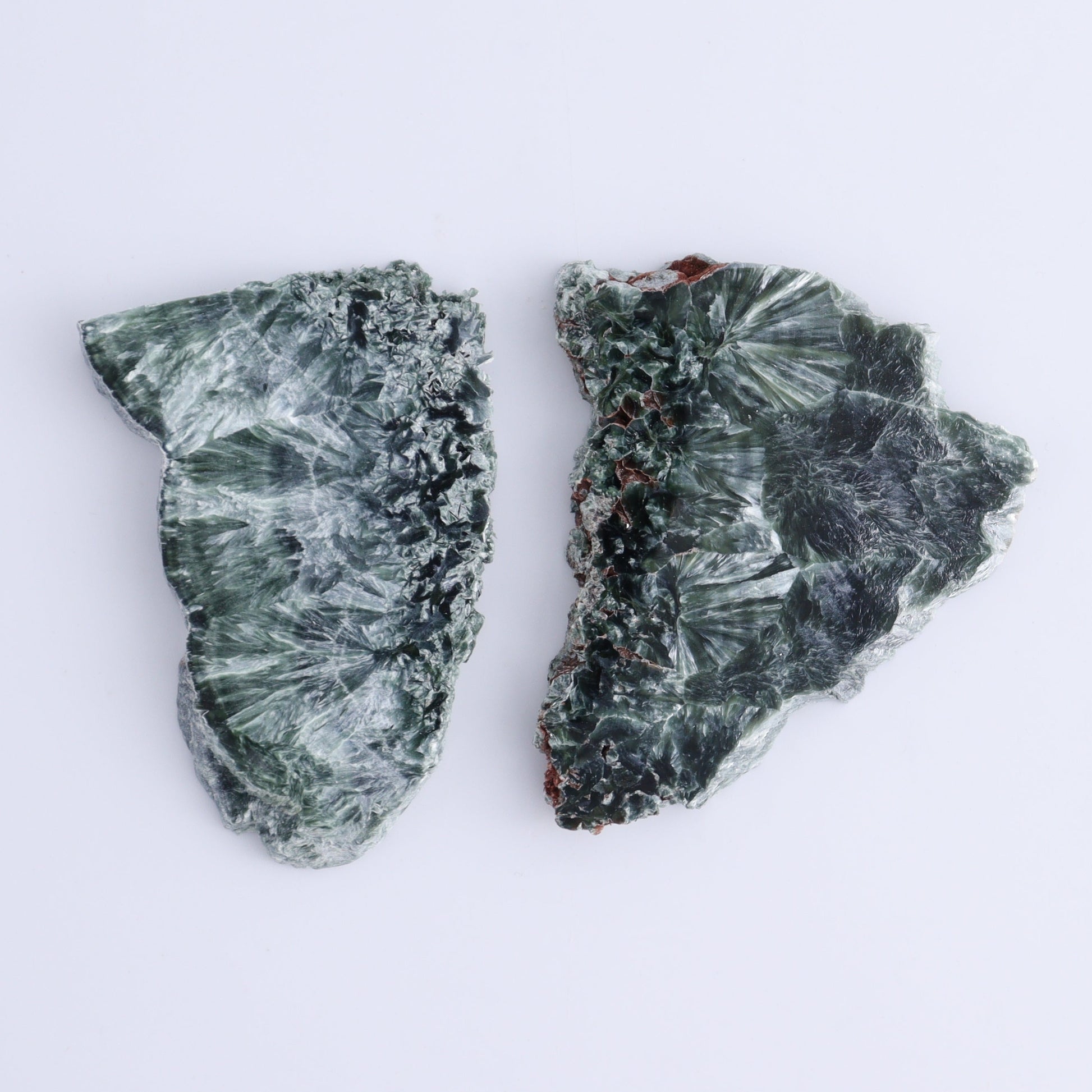 Seraphinite Slices Set of 12 - Expert Wholesale and Supplier of Wholesale Crystals & Bulk Gemstones, ["Russia","Seraphinite","Slices and Slabs"]