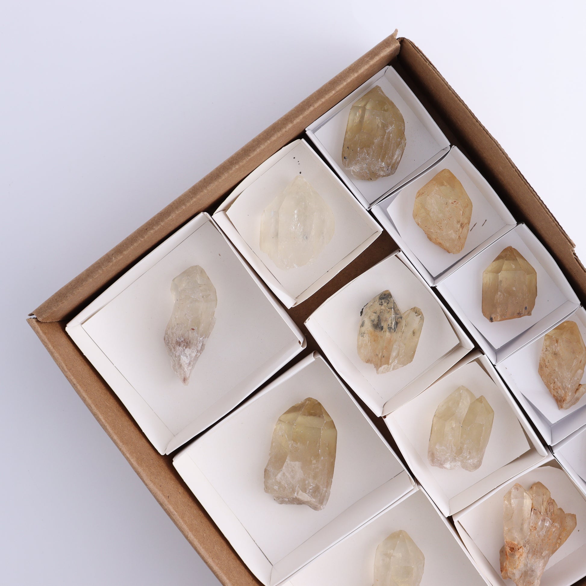 Congo Citrine Set of 12 - Expert Wholesale and Supplier of Wholesale Crystals & Bulk Gemstones, ["Citrine","Congo","Rough","Roughs"]