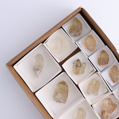 Congo Citrine Set of 12 - Expert Wholesale and Supplier of Wholesale Crystals & Bulk Gemstones, ["Citrine","Congo","Rough","Roughs"]