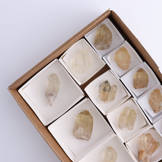 Congo Citrine Set of 12