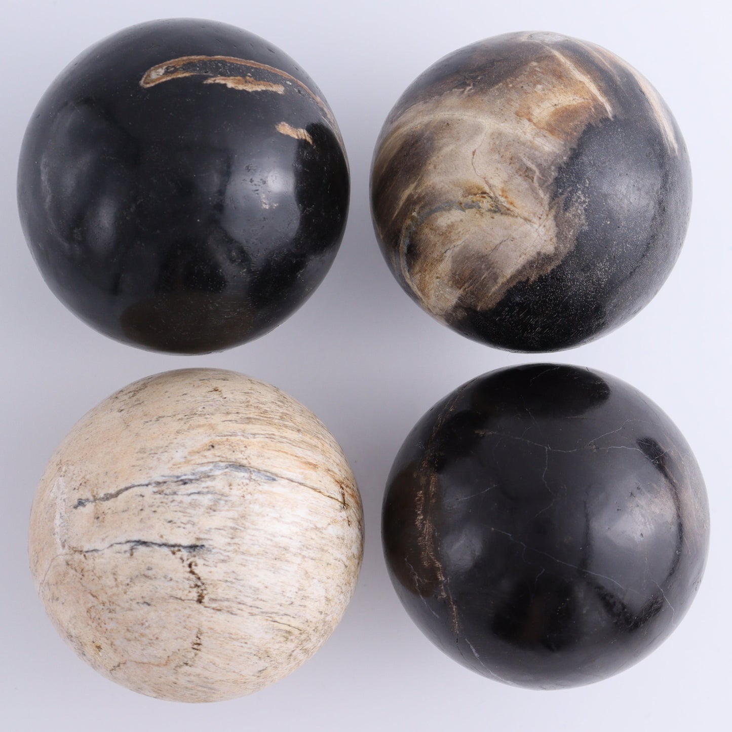 Petrified Wood Spheres Set of 4 - Expert Wholesale and Supplier of Wholesale Crystals & Bulk Gemstones, ["Indonesia","Petrified Wood","Spheres"]