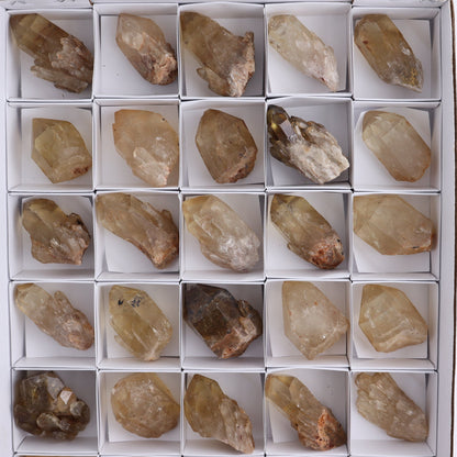 Congo Citrine Set of 35