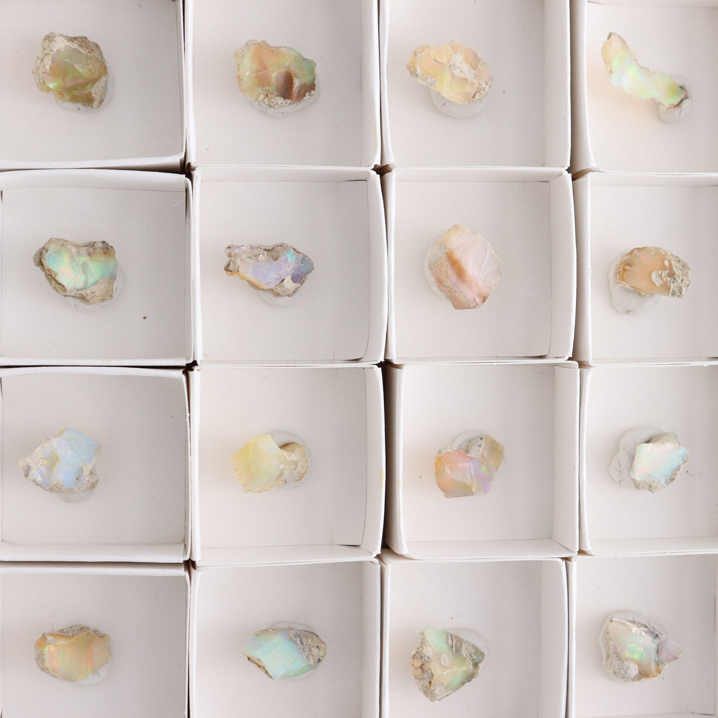 Ethiopian Opal Set of 24 - Expert Wholesale and Supplier of Wholesale Crystals & Bulk Gemstones, ["Ethiopia","ethiopian opal","Opal"]