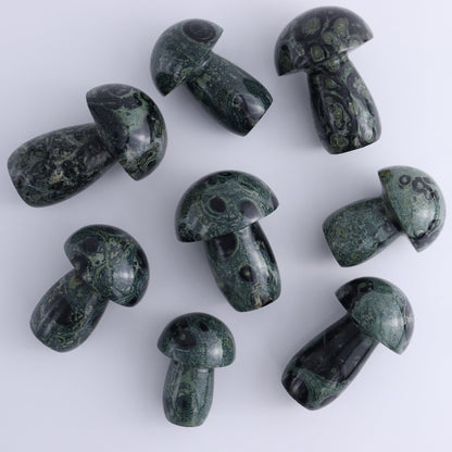 Kambaba Jasper Mushrooms Set of 8 - Expert Wholesale and Supplier of Wholesale Crystals & Bulk Gemstones, ["Kambaba Jasper","Madagascar","Mushrooms"]