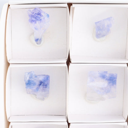 Canadian Blue Halite Rough Set of 9 - Expert Wholesale and Supplier of Wholesale Crystals & Bulk Gemstones, ["Blue Halite","Canada","Halite","Rough","Roughs"]
