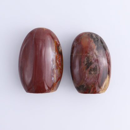 Petrified Wood Freeforms Set of 6 - Expert Wholesale and Supplier of Wholesale Crystals & Bulk Gemstones, ["Freeform","Freeforms","Madagascar","Petrified Wood"]