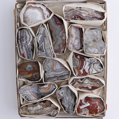 Crazy Lace Agate Flat of 15