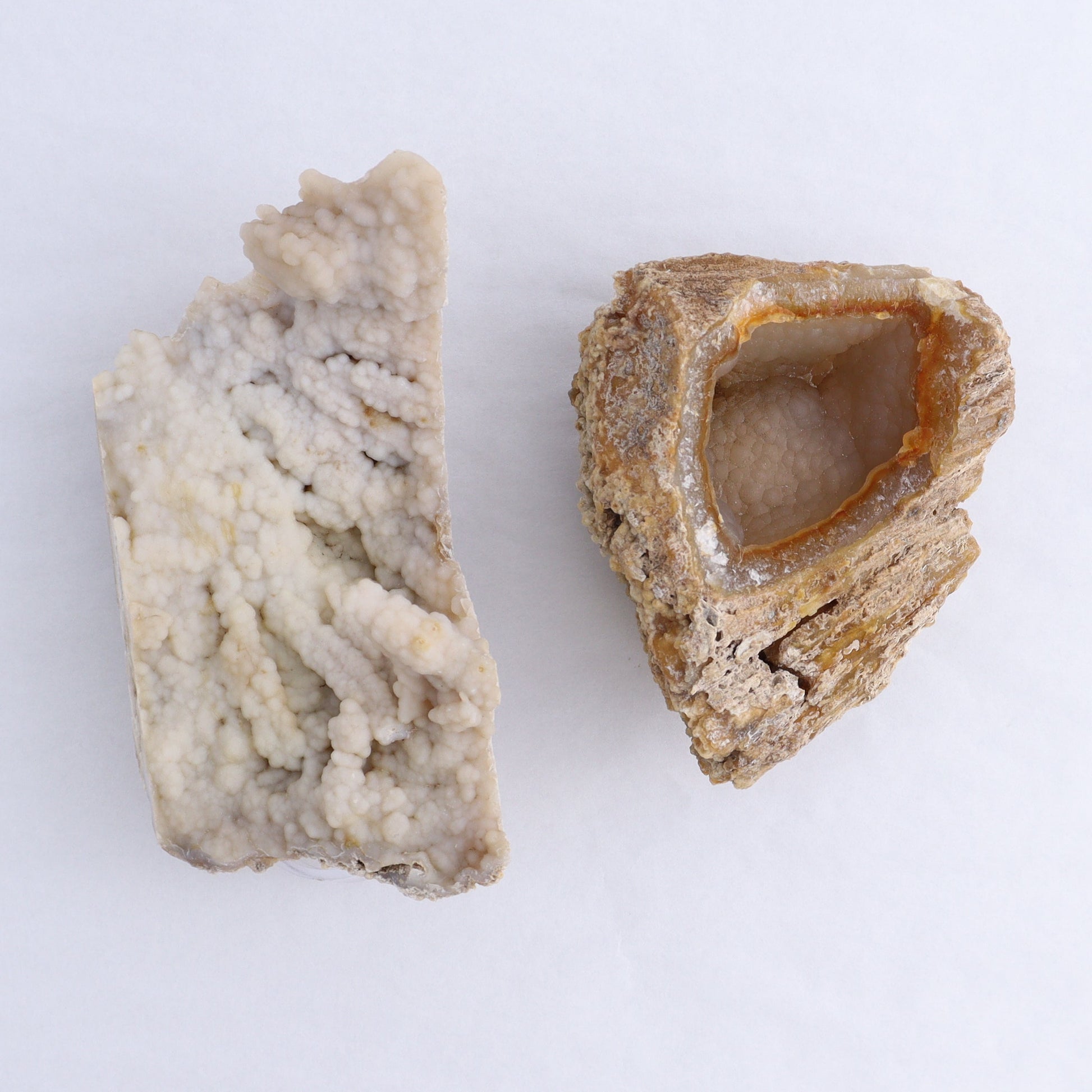 Agatized Coral Flat - Expert Wholesale and Supplier of Wholesale Crystals & Bulk Gemstones, ["Agate","Agatized Coral","Coral","United States"]