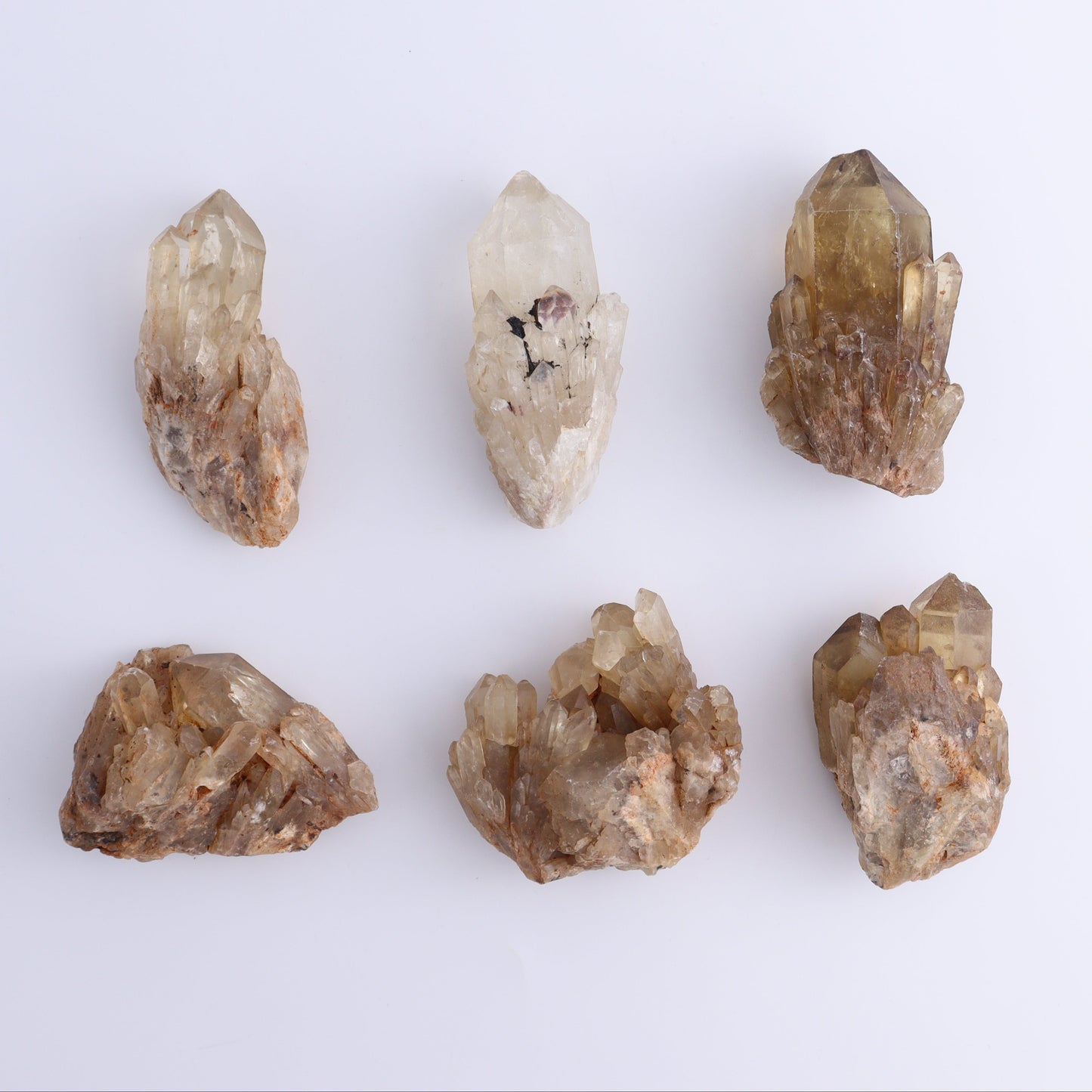 Congo Citrine Set of 12