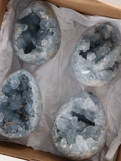 Celestite Eggs Set of 4 - Expert Supplier of Wholesale Crystals & Bulk Gemstones