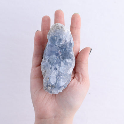 Celestite Clusters Set of 4