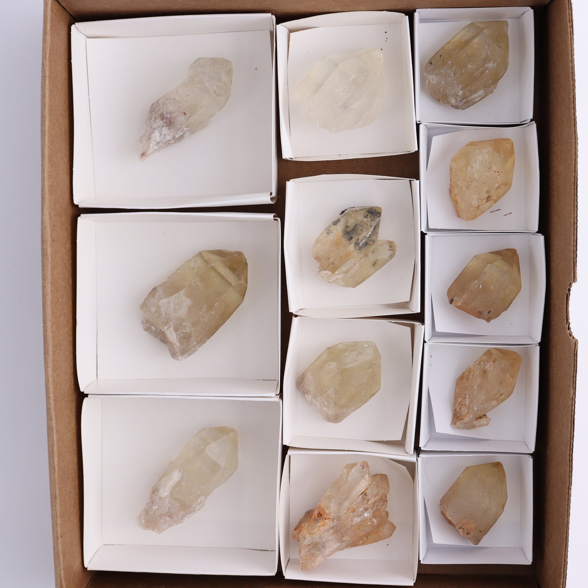 Congo Citrine Set of 12 - Expert Wholesale and Supplier of Wholesale Crystals & Bulk Gemstones, ["Citrine","Congo","Rough","Roughs"]