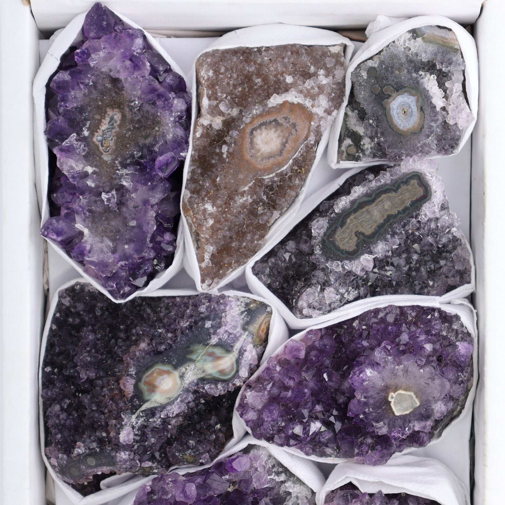 Uruguay Amethyst Clusters with "Eyes" Flat of 9 - Expert Wholesale and Supplier of Wholesale Crystals & Bulk Gemstones, ["Amethyst","Amethyst Eyes","Clusters","Uruguay"]