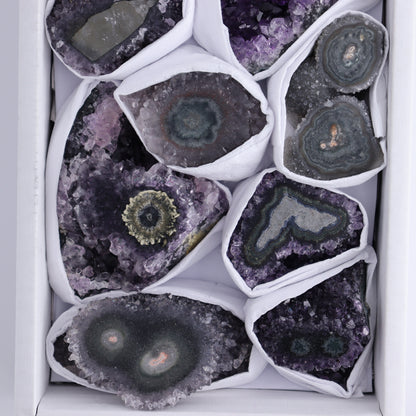 Uruguay Amethyst Clusters with "Eyes" Flat of 10 - Expert Wholesale and Supplier of Wholesale Crystals & Bulk Gemstones, ["Amethyst","Clusters","Eyes Amethyst","Uruguay"]