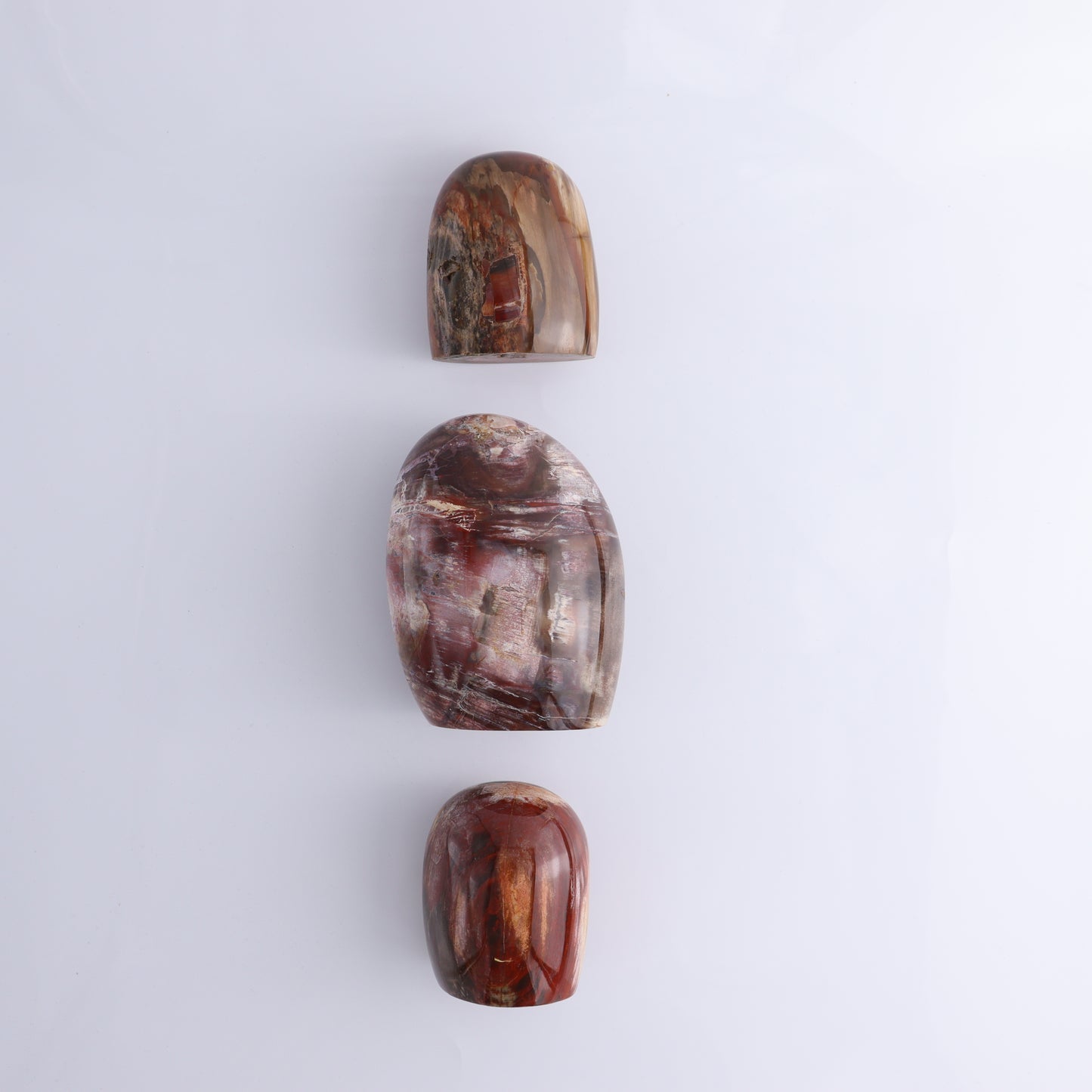 Petrified Wood Freeform Set of 3 - Expert Wholesale and Supplier of Wholesale Crystals & Bulk Gemstones, ["Freeforms","Madagascar","Petrified Wood"]