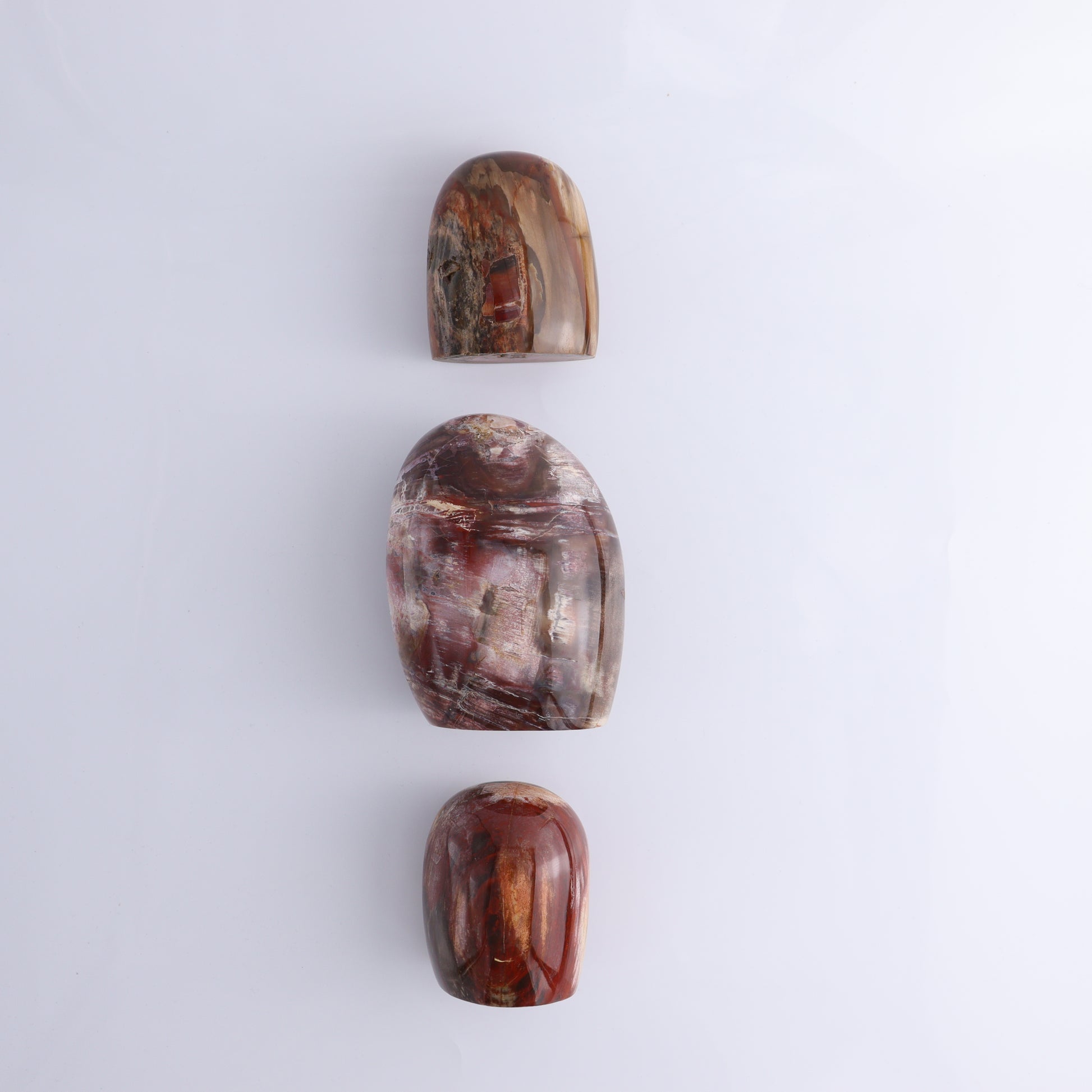 Petrified Wood Freeform Set of 3 - Expert Wholesale and Supplier of Wholesale Crystals & Bulk Gemstones, ["Freeforms","Madagascar","Petrified Wood"]