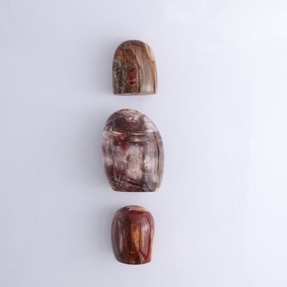 Petrified Wood Freeform Set of 3 - Expert Wholesale and Supplier of Wholesale Crystals & Bulk Gemstones, ["Freeforms","Madagascar","Petrified Wood"]