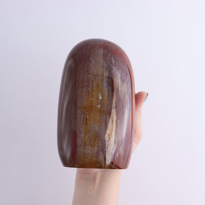 Petrified Wood Freeform Set of 2 - Expert Wholesale and Supplier of Wholesale Crystals & Bulk Gemstones, ["Freeforms","Madagascar","Petrified Wood"]