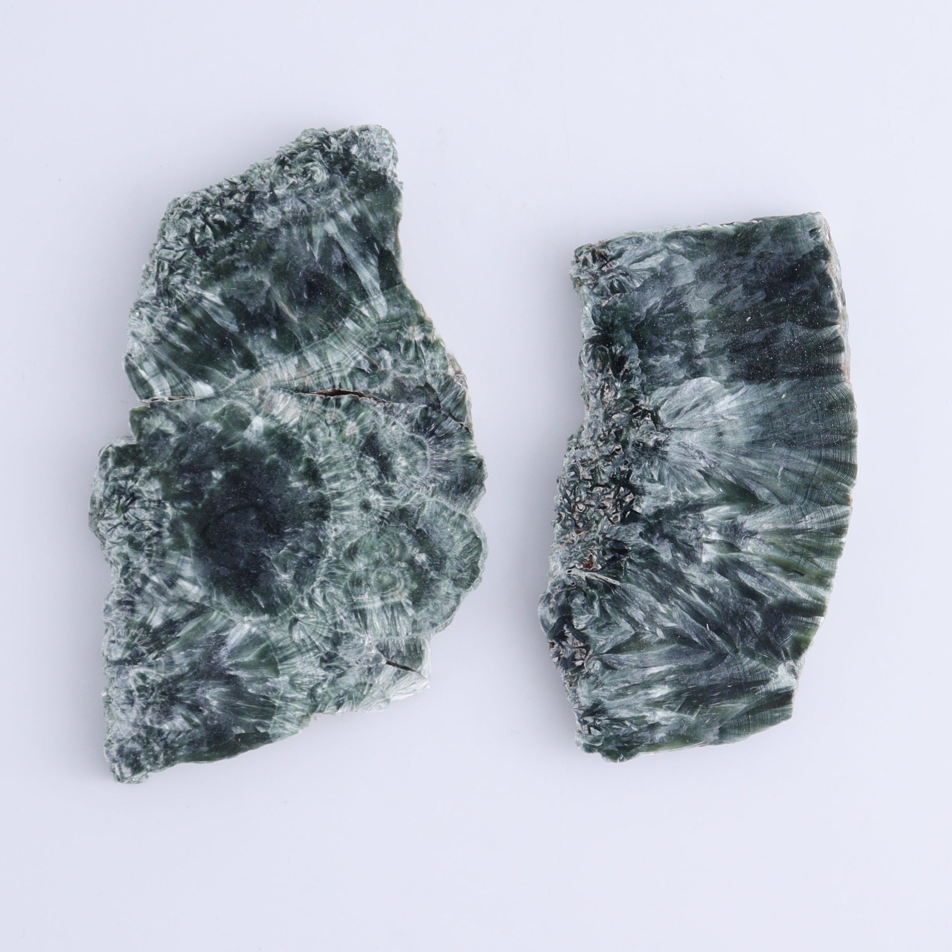 Seraphinite Slices Set of 12 - Expert Wholesale and Supplier of Wholesale Crystals & Bulk Gemstones, ["Russia","Seraphinite","Slices and Slabs"]