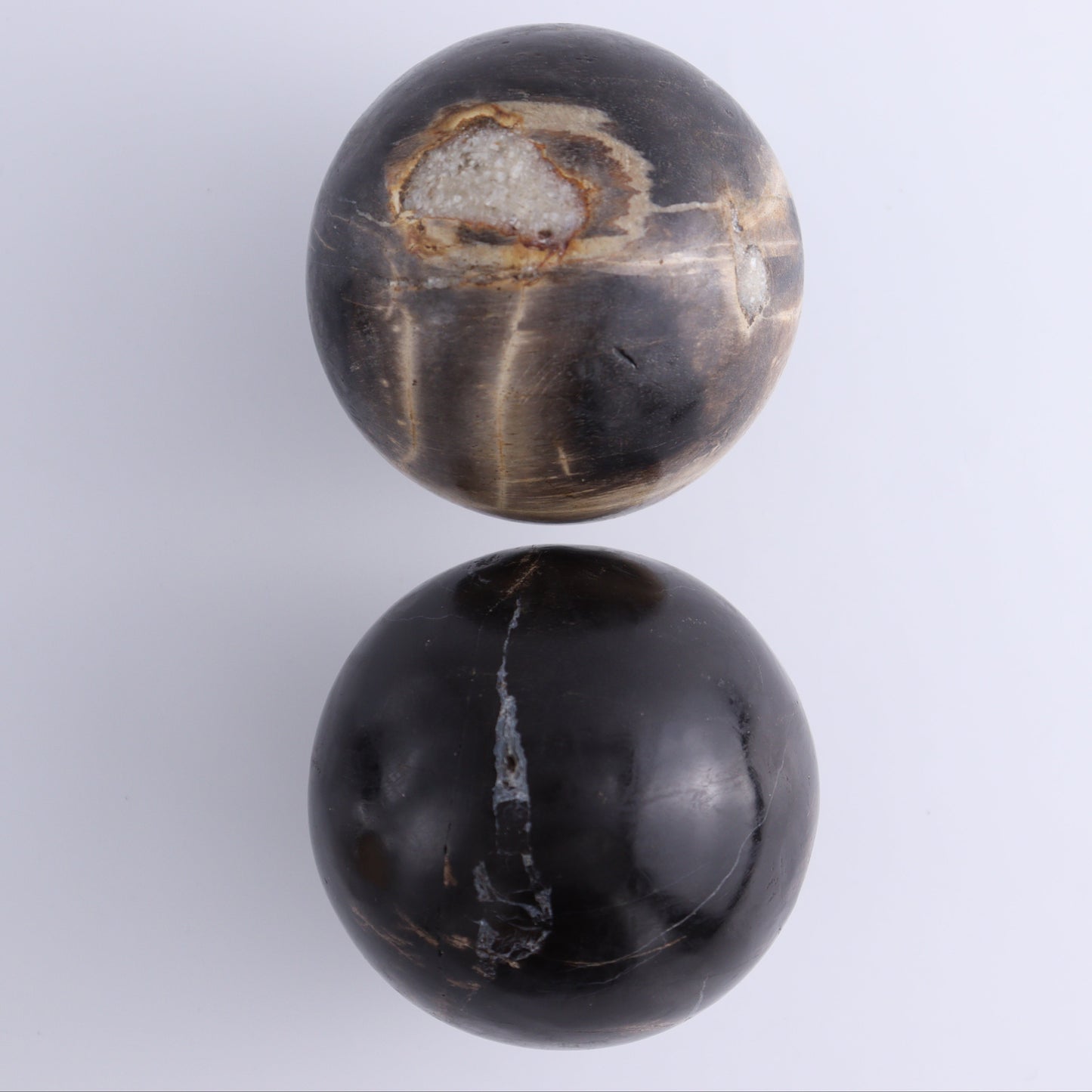 Petrified Wood Spheres Set of 4 - Expert Wholesale and Supplier of Wholesale Crystals & Bulk Gemstones, ["Indonesia","Petrified Wood","Spheres"]