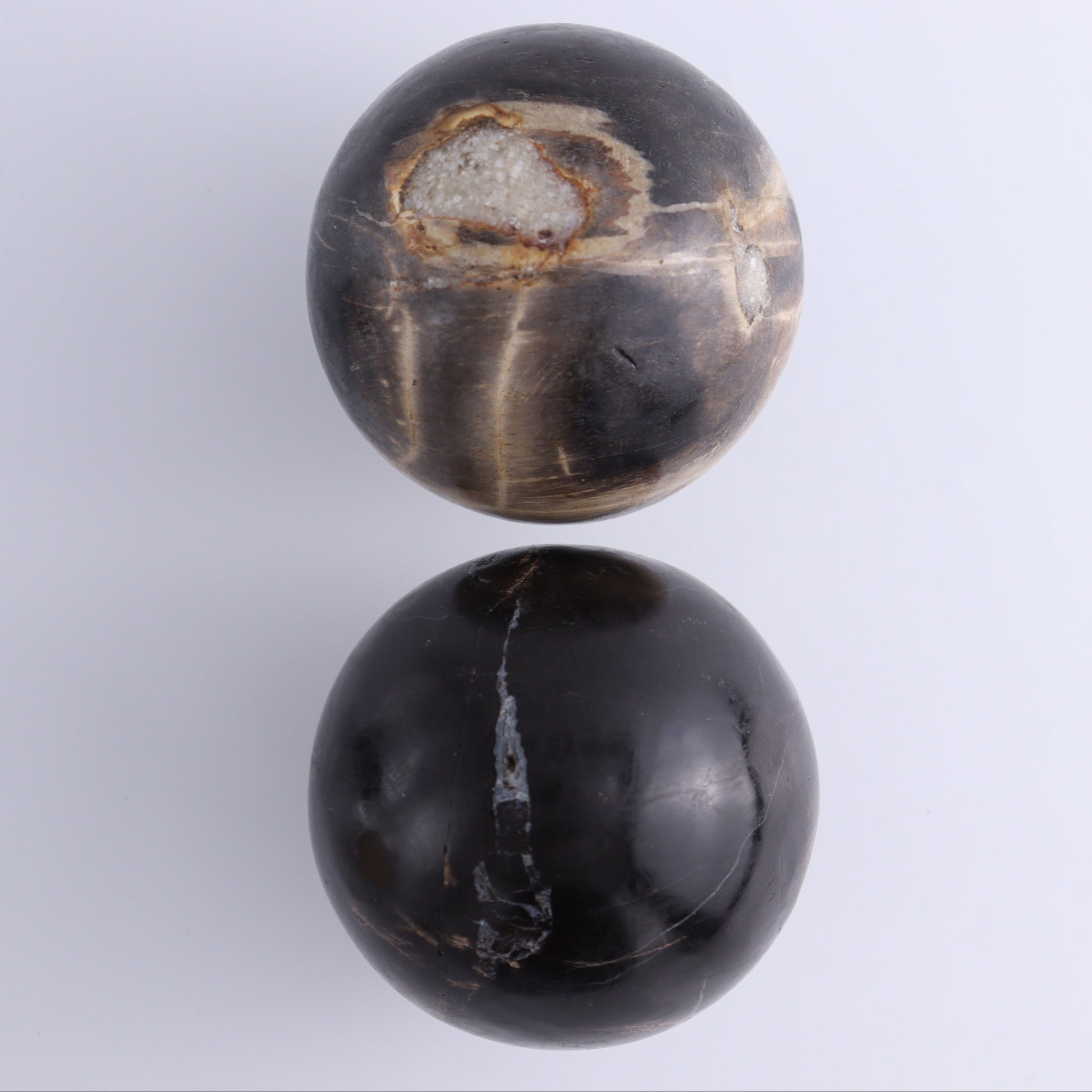 Petrified Wood Spheres Set of 4 - Expert Wholesale and Supplier of Wholesale Crystals & Bulk Gemstones, ["Indonesia","Petrified Wood","Spheres"]