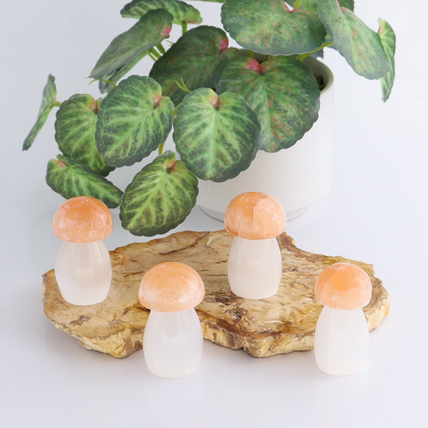 One Selenite (Satin Spar) Mushroom Peach/White 6 cm - Expert Wholesale and Supplier of Wholesale Crystals & Bulk Gemstones, ["Morocco","Mushrooms","Peach Selenite","Selenite"]