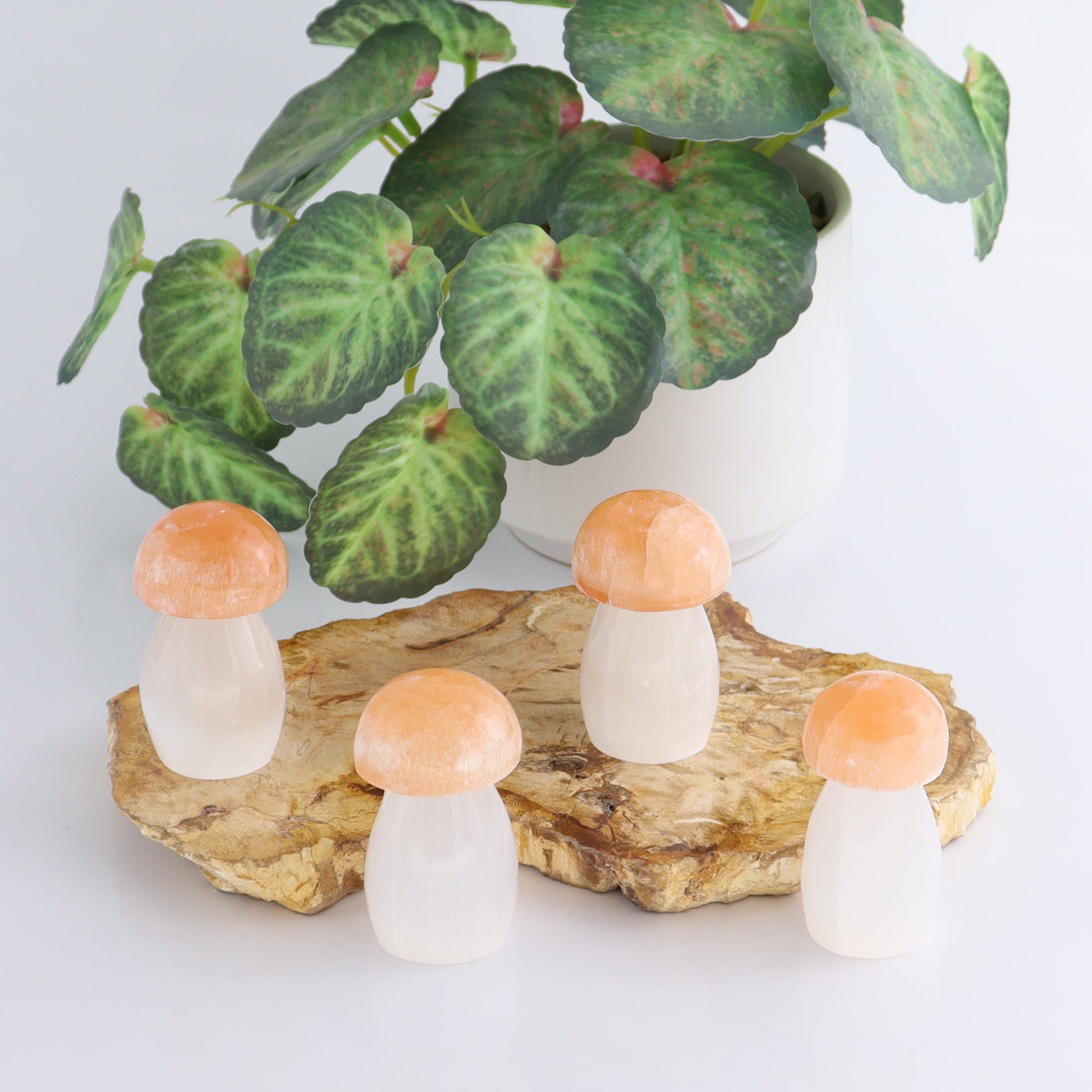 One Selenite (Satin Spar) Mushroom Peach/White 6 cm - Expert Wholesale and Supplier of Wholesale Crystals & Bulk Gemstones, ["Morocco","Mushrooms","Peach Selenite","Selenite"]