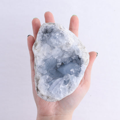 Celestite Clusters Set of 4