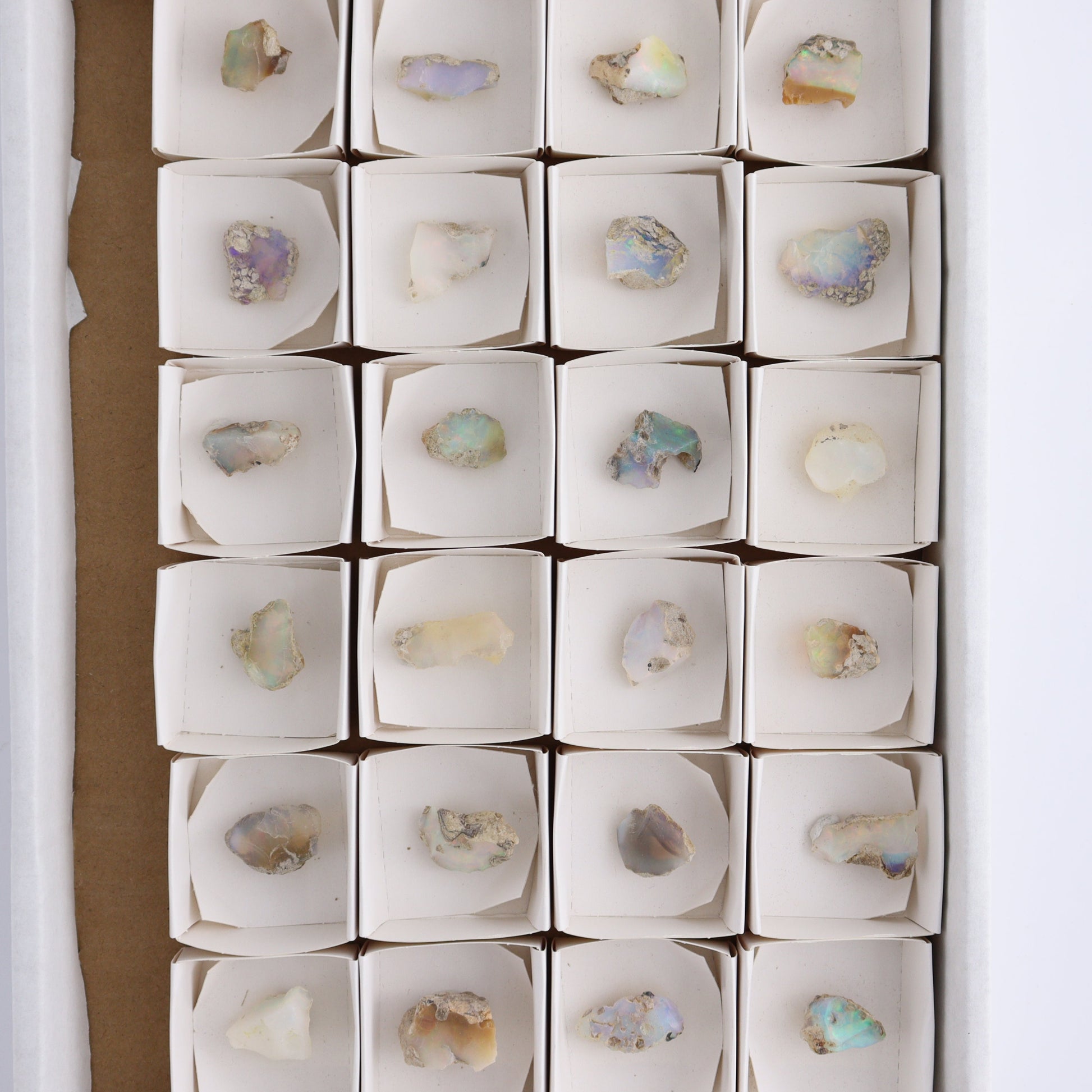 Ethiopian Opal Set of 24 - Expert Wholesale and Supplier of Wholesale Crystals & Bulk Gemstones, ["Ethiopia","ethiopian opal","Opal"]