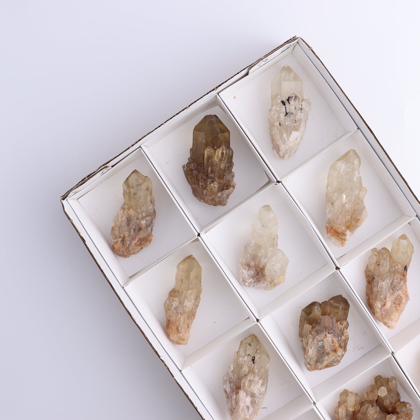 Congo Citrine Set of 12