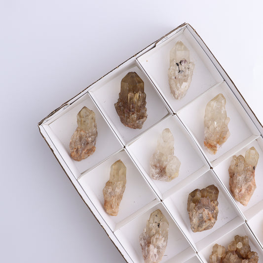 Congo Citrine Set of 12