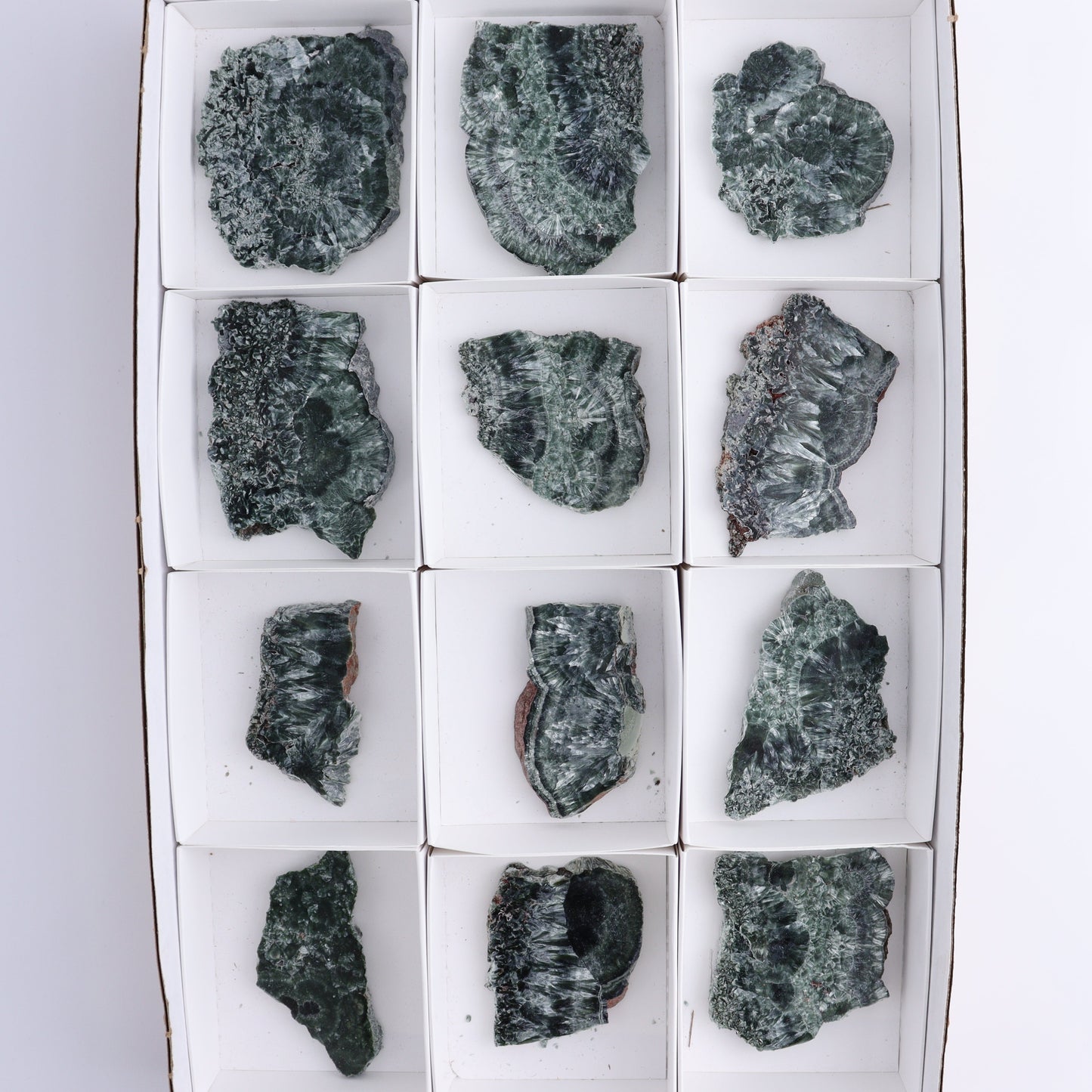 Seraphinite Slices Set of 12