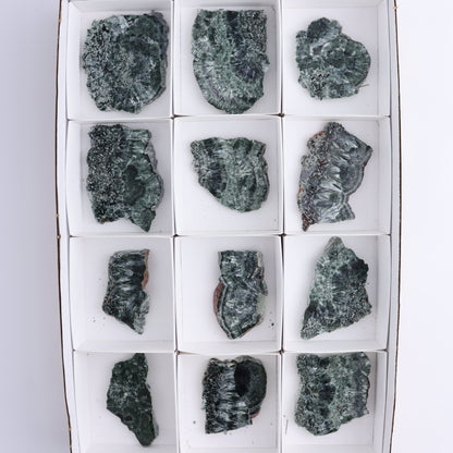 Seraphinite Slices Set of 12