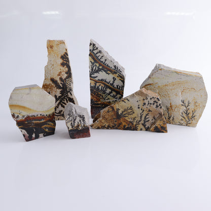 Dendrites Flat Set of 6 - Expert Wholesale and Supplier of Wholesale Crystals & Bulk Gemstones, ["Dendrite","Flats"]